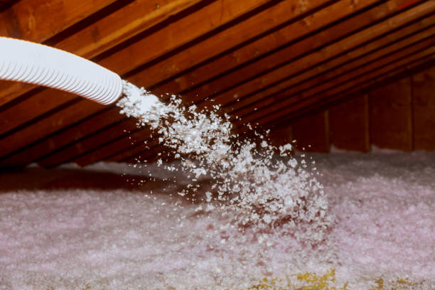 Best Eco-Friendly Insulation in Dos Palos, CA